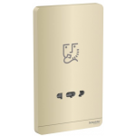 Schneider Electric 施耐德電氣 AvatarOn 鬚刨插座 115V/240V (沉醉金) (E83T727V_WG_C5)